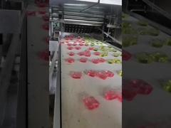 Fabricant de capsules de détergent professionnel contrôlé par PLC