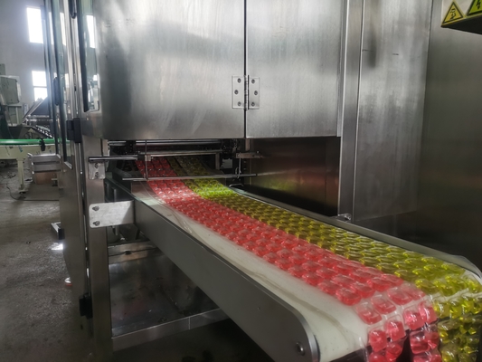 Machine à laver électrique contrôlée par PLC pour une production personnalisée